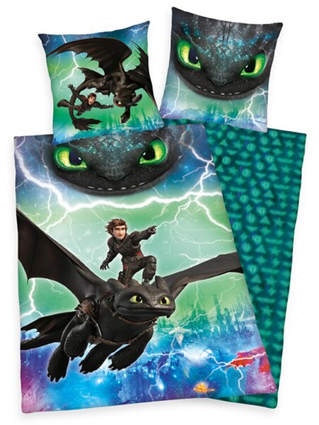 Bed sheets How To Train Your Dragon