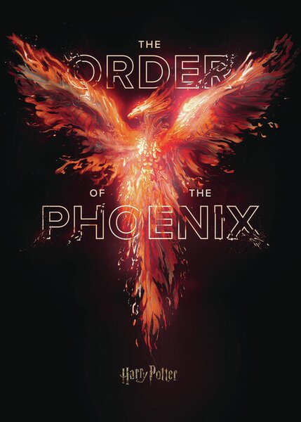 Art Poster Harry Potter - Order of the Phoenix, (26.7 x 40 cm)