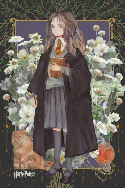 Art Print Hermione Granger - Yume, (26.7 x 40 cm)