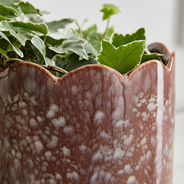 Scalloped Ceramic Plant Pot