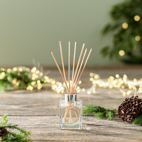 Mulled Wine Diffuser Clear