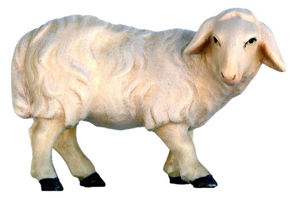 Nativity Animals - Sheep standing - Modern