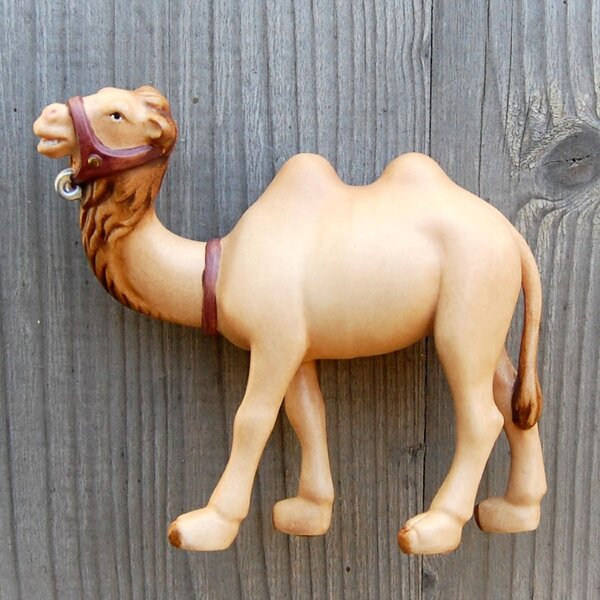 Camel For Nativity - African