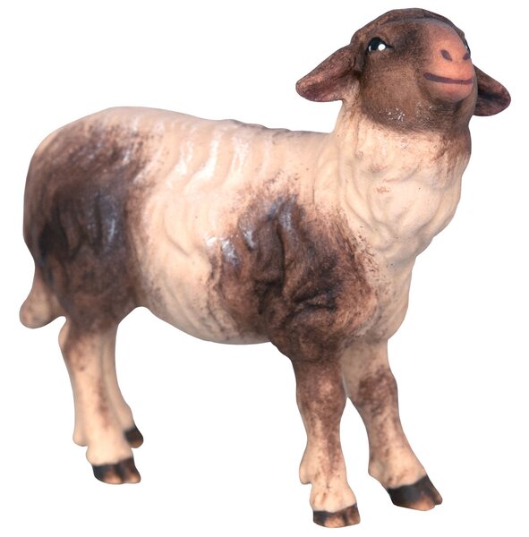 Sheep with black marks - Folk