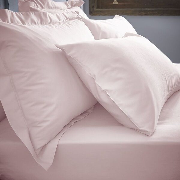Bianca 200Tc Cotton Percale Fitted Sheet Blush