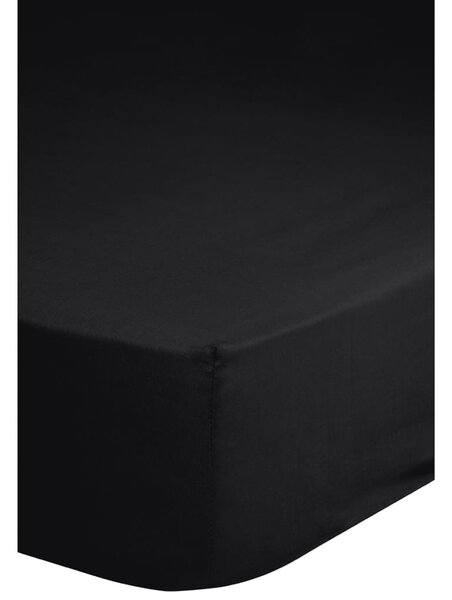 Good Morning Fitted Sheet Jersey 90/100x200 cm Black 0200.04.42