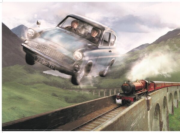 Poster Harry Potter - Ford, (91.5 x 61 cm)