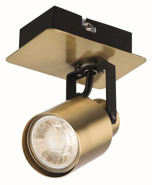 Lucy Single Lamp Spotlight - Gold & Black