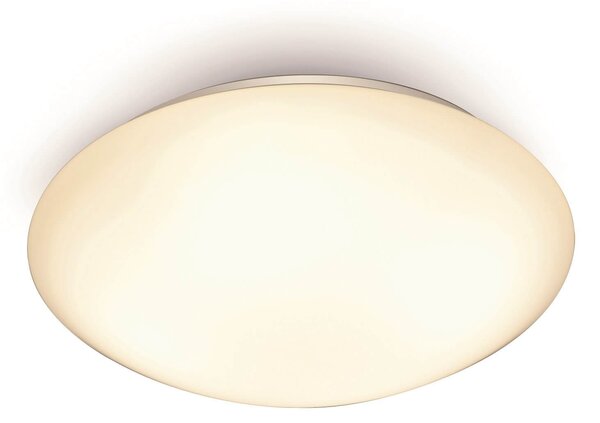 Dion 13W 25cm Flush Ceiling Light - Cool White