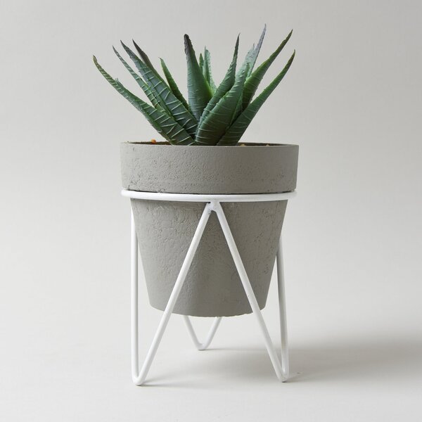 Aloe Vera Succulent in Grey Tripod Pot Grey/Green
