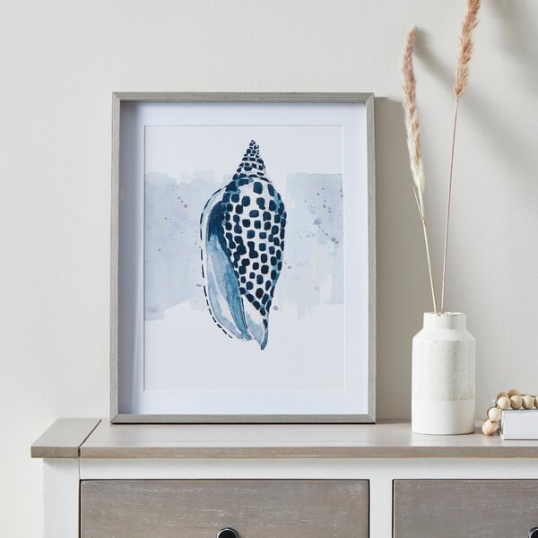 Shell Framed Print White/Blue