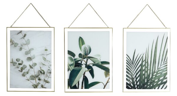 Set of 3 Hanging Leaf Prints Green