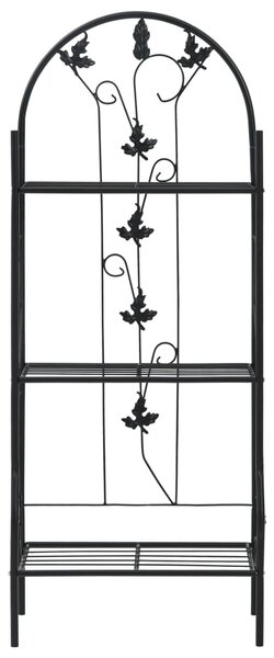 3-Layer Plant Rack Black 52x28x128 cm Iron