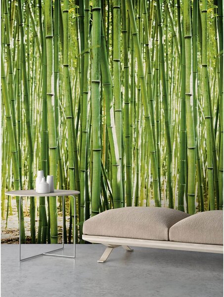 Grandeco Bamboo Green Digital Wallpaper Mural