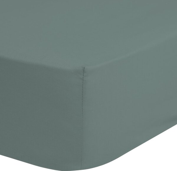Good Morning Jersey Fitted Sheet 70x140/150 cm Misty Green