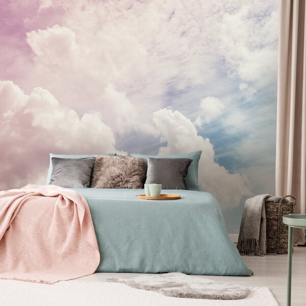 Dreamscape Clouds Wall Mural Pink