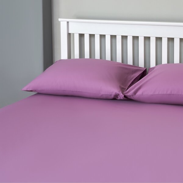 The Willow Manor 100% Cotton Percale Single Fitted Sheet - Grape