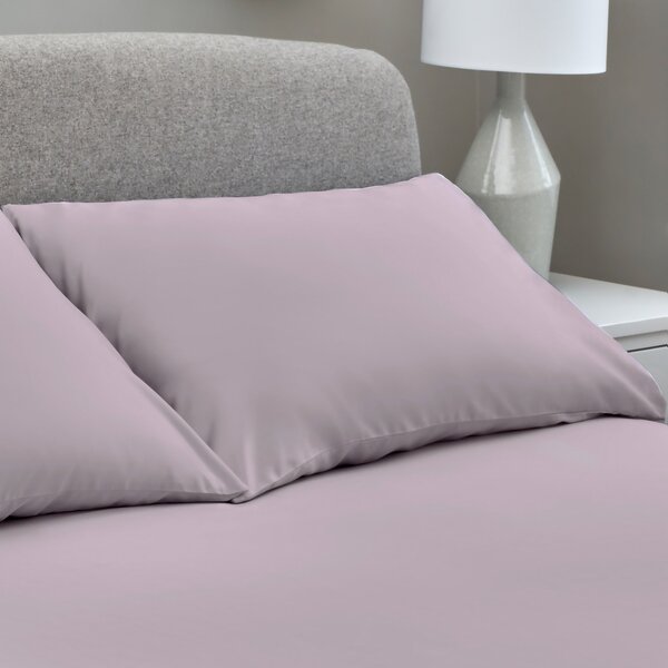 The Willow Manor Egyptian Cotton 300 Thread Count Pillowcase Pair - Fig
