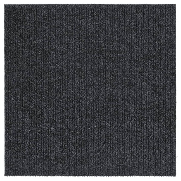 Dirt Trapper Carpet Runner 100x100 cm Anthracite