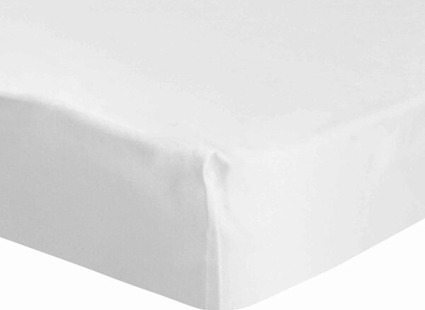 Dorma Luxurious & Silky 500 Thread Count Cotton Sateen Fitted Sheet