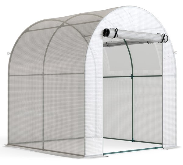 Outsunny Walk in Polytunnel Greenhouse, Green House for Garden with Roll-up Window and Door, 1.8 x 1.8 x 2 m, White Aosom UK