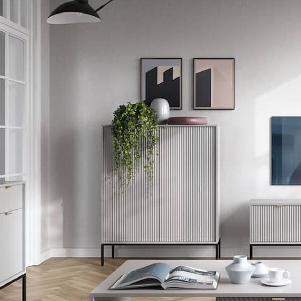 Napa Wooden Storage Cabinet With 2 Doors In Matt Grey