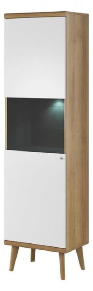 Pasco Wooden Display Cabinet With 1 Door In Matt White And Oak