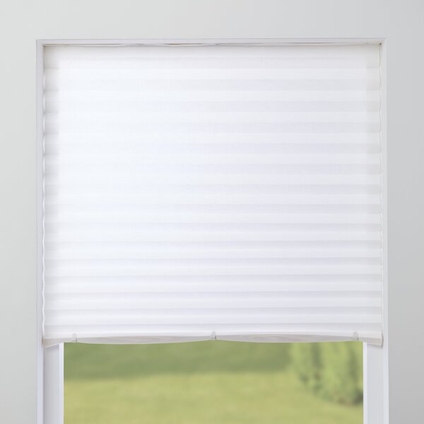 Temporary Paper Daylight Blinds White