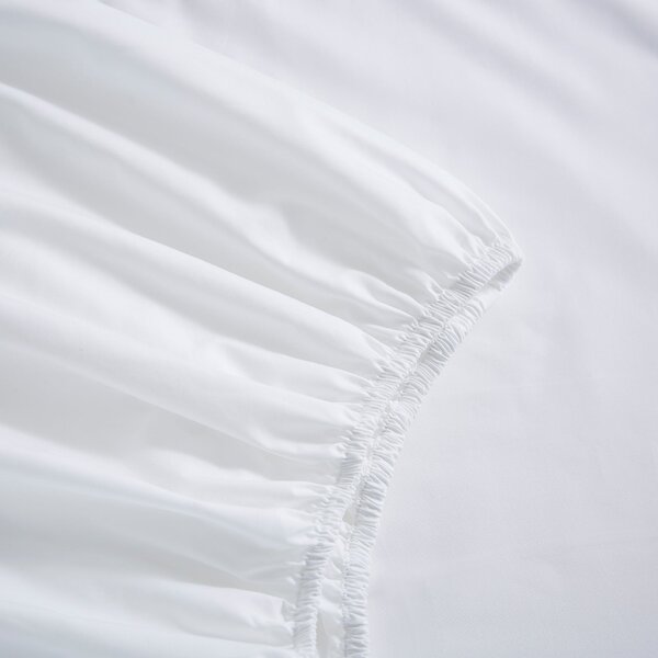 Dorma Crisp & Fresh 400 Thread Count Egyptian Cotton Percale Fitted Sheet