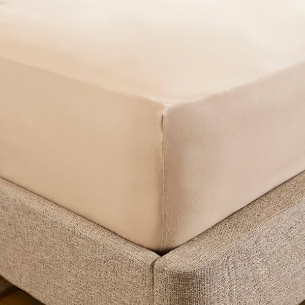 Dorma Premium Brushed Cotton Fitted Sheet