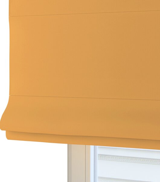 Billie roman blind