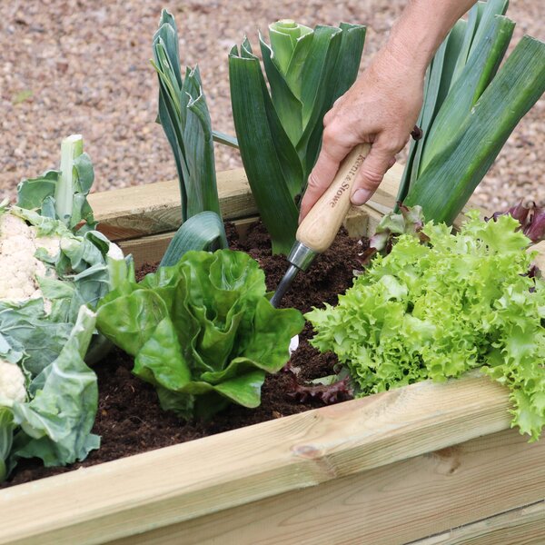 Narrow Sleeper Raised Bed