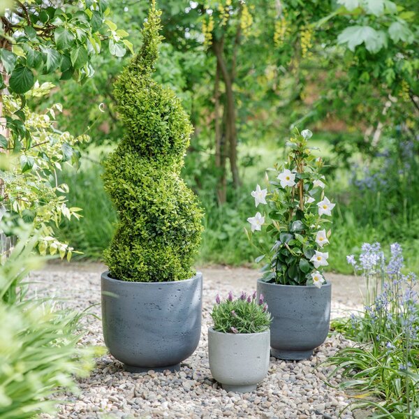 Ivyline Set of 3 Seattle Plant Pots