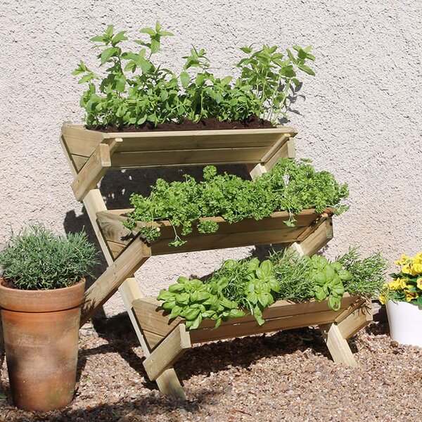 Stepped Herb Planter