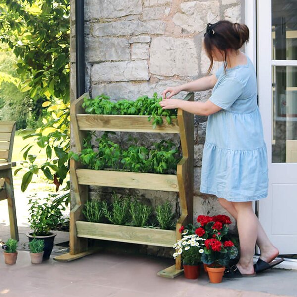 Vertical Herb Stand