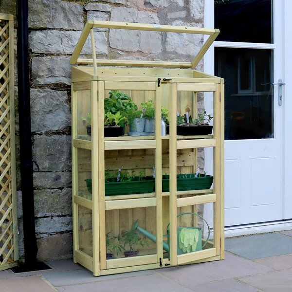 Compact Botanical Greenhouse