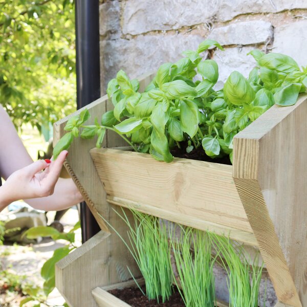 Tall Vertical Herb Stand