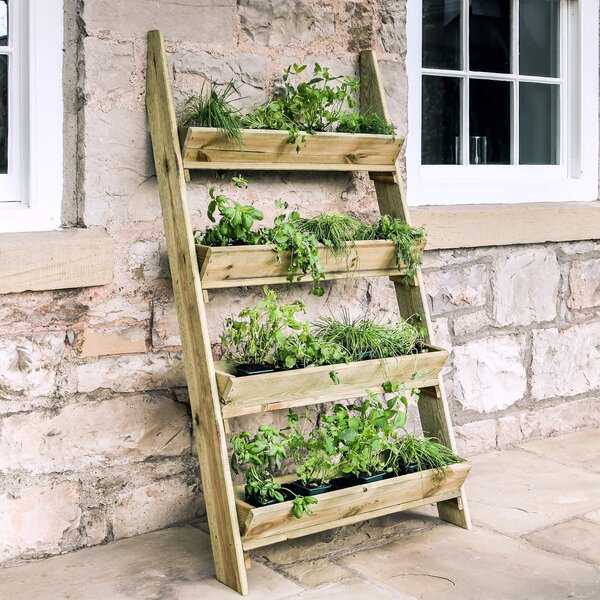 Ladder Planter