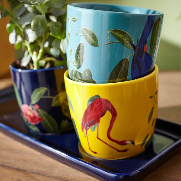 Set of 3 Exotic Birds Plant Pots on Tray