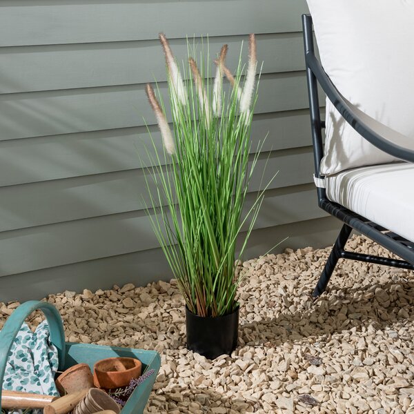 Foxtail Potted Grass 80cm Green
