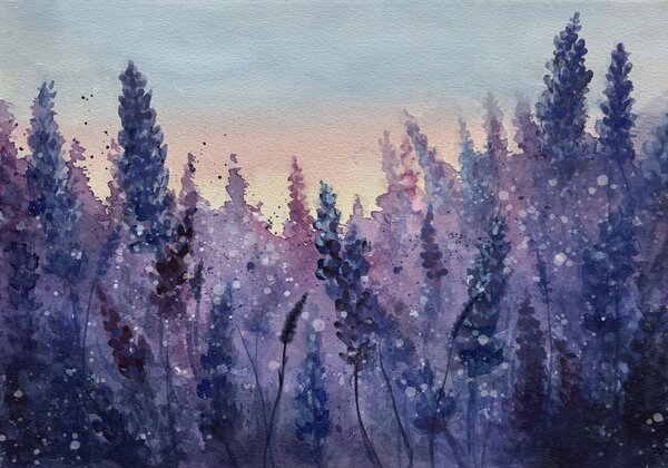 Photography Purple field, Monica Lindblom, (40 x 26.7 cm)