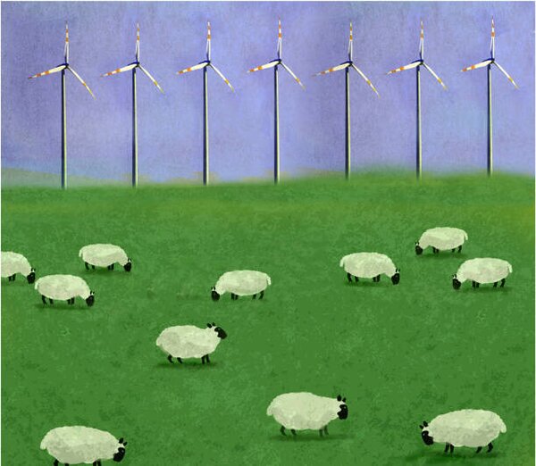Art Print Illustration of flock of sheep grazing, Westend61, (40 x 35 cm)