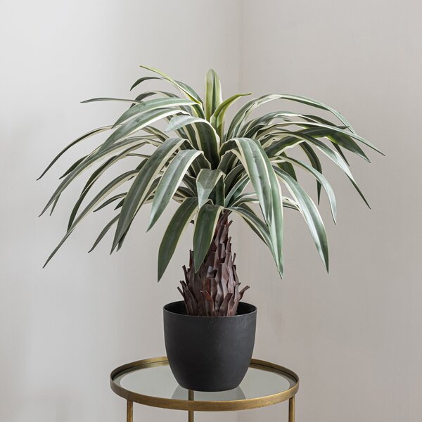 Artificial Dracaena Plant in Black Plant Pot