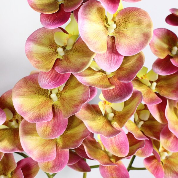 Artificial Real Touch Phalaenopsis Stems