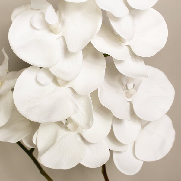 Artificial Cream Real Touch Phalaenopsis Stems