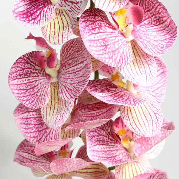 Artificial Real Touch Phalaenopsis Stems