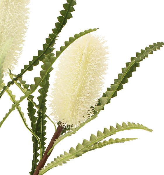 Artificial Cream Ashby's Banksia Stems