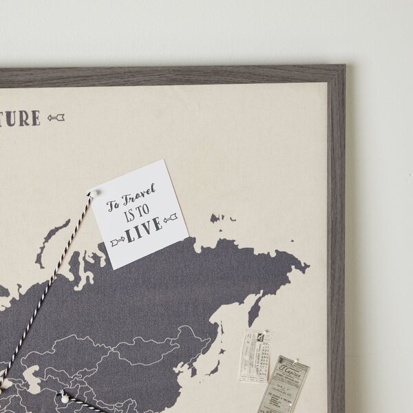 World Map Pin Board