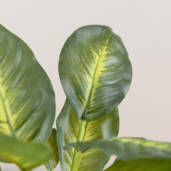 Artificial Dieffenbachia in White Plant Pot