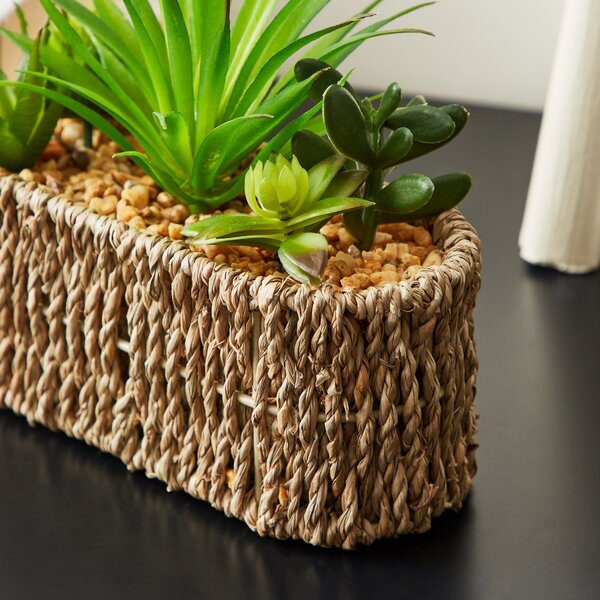 Artificial Succulents in Woven Plant Pot